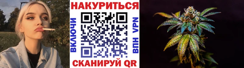 где можно купить   Елизаветинская  KRAKEN как войти  Каннабис конопля 